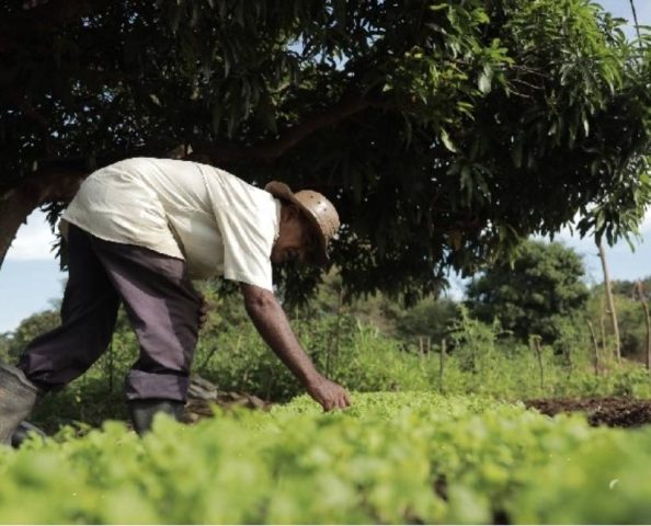 Cadastro quilombola impulsiona aumento de agricultores no Garantia Safra em Antônio Cardoso