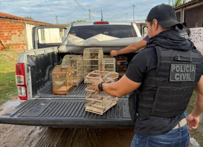 Polícia resgata 15 aves silvestres vítimas de maus-tratos em Santa Bárbara