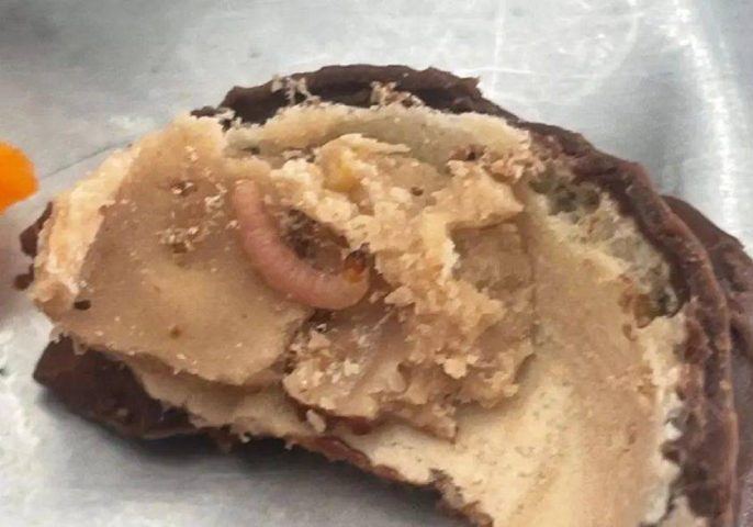 Estudante da UFBA encontra larvas em bombom servido no restaurante universitário