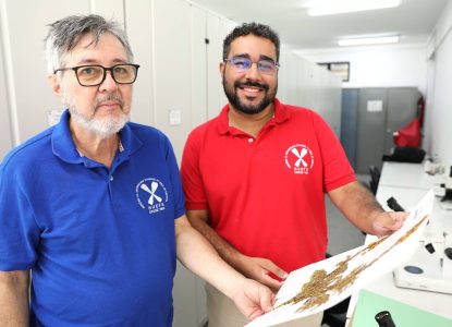 Pesquisadores da UEFS descobrem nova espécie de planta na Caatinga