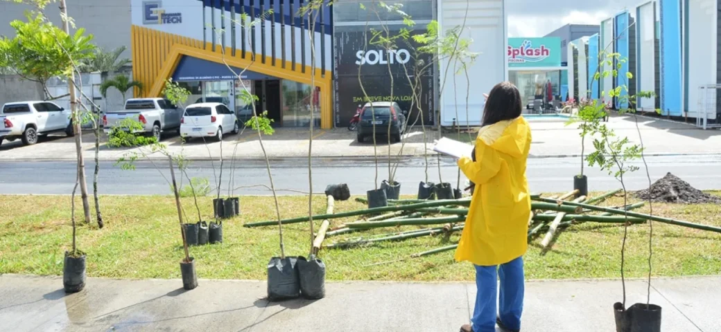 Projeto Feira Verde: Prefeitura inicia plantio de 300 mudas de árvores na Noide Cerqueira