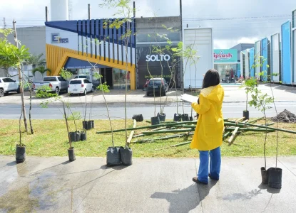 Projeto Feira Verde: Prefeitura inicia plantio de 300 mudas de árvores na Noide Cerqueira