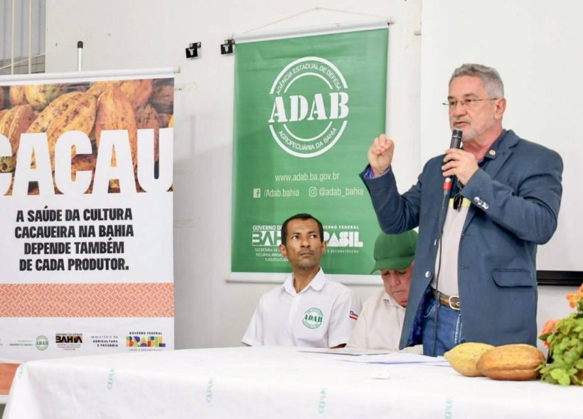 Campanha na Bahia busca prevenir praga na cultura do cacau que ainda não foi registrada no estado