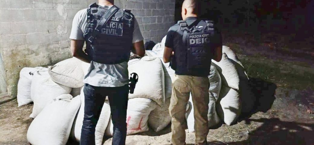 Polícia recupera carga de café avaliada em R$ 50 mil no interior da Bahia