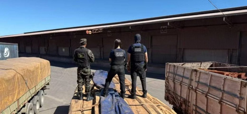Apreensão de cocaína líquida em carga de madeira pode ser a maior da história do Brasil