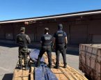 Apreensão de cocaína líquida em carga de madeira pode ser a maior da história do Brasil