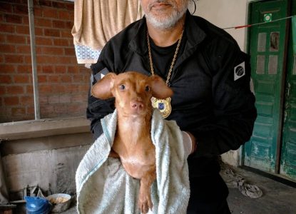 Treze animais em situação de maus-tratos são resgatados em Feira de Santana
