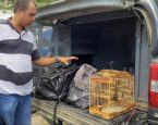 Influenciador digital é preso em flagrante por tráfico de drogas em Cruz das Almas