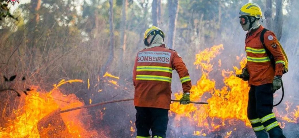Área queimada no Brasil cai 31% em 2025 e fica abaixo da média histórica