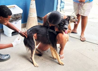 Mais de 5,7 mil cães e gatos foram vacinados em Feira de Santana no primeiro sábado de mobilização contra raiva