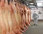 Abate de suínos na Bahia cai 10,2% entre quarto trimestre de 2025 e primeiro trimestre de 2026