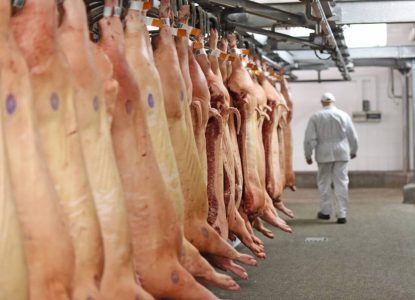 Abate de suínos na Bahia cai 10,2% entre quarto trimestre de 2025 e primeiro trimestre de 2026