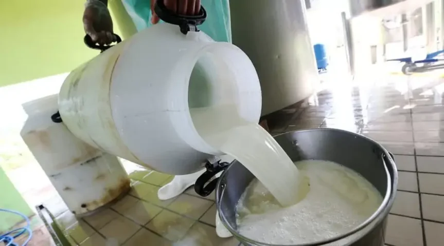 Produção de leite na Bahia bate recorde no primeiro trimestre se 2026