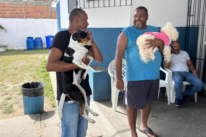 Feira de Santana inicia campanha de vacinação antirrábica neste sábado, 25