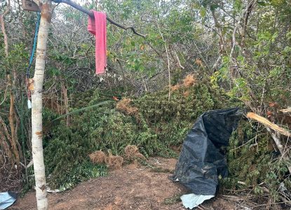 Polícia baiana apreende uma tonelada de maconha em cidade da região da Chapada Diamantina