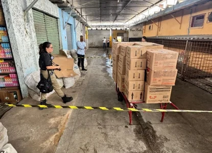 Polícia Civil apreende 400 quilos de fogos de artifício e pólvora no interior da Bahia
