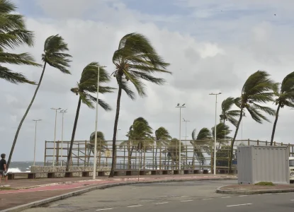 Vendaval: Quase 200 cidades da Bahia entram em alerta para ventos de até 60 km/h; veja lista