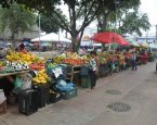 Novas barracas padronizadas serão fornecidas para feiras livres em Feira de Santana