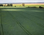 Senado aprova plano para fabricação de fertilizantes no Brasil