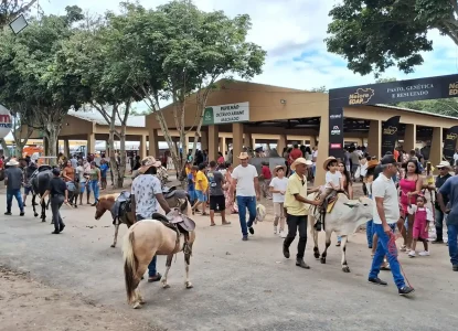 Expofeira 2026 terá exibições de rodeio no Parque de Exposição