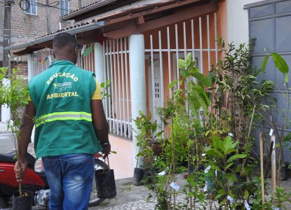 Feira Mais Verde leva distribuição de mudas e educação ambiental aos distritos de Feira de Santana