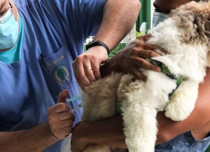 Campanha Antirrábica prossegue com vacinação em oito bairros neste sábado,22