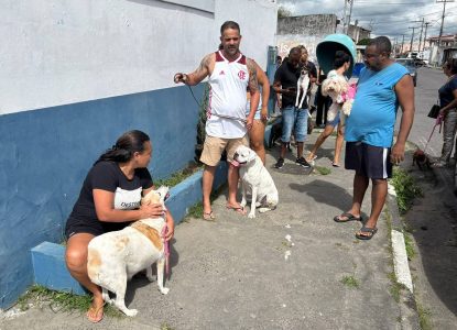 Prefeitura de Feira promove vacinação contra a raiva em cães e gatos neste sábado, 29
