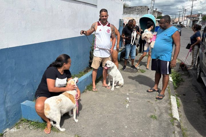 Prefeitura de Feira promove vacinação contra a raiva em cães e gatos neste sábado, 29