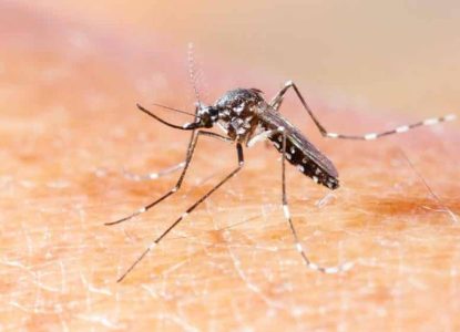 Casos de Chikungunya crescem mais de 287% na Bahia
