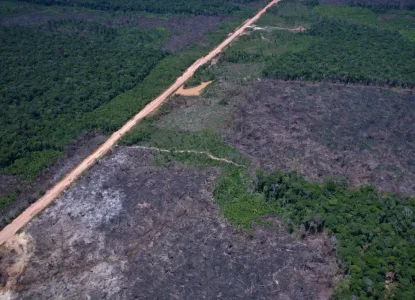 Desmatamento na Amazônia cai 36,87% no último ano, aponta monitoramento do INPE