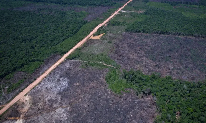 Desmatamento na Amazônia cai 36,87% no último ano, aponta monitoramento do INPE