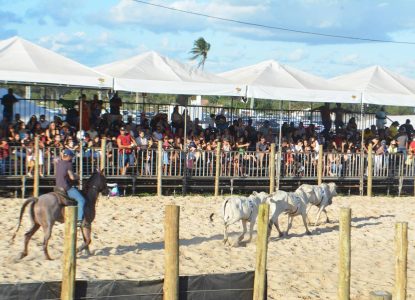 Expofeira 2026 recebe etapa final do Campeonato Baiano de Team Penning; saiba datas