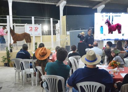 Leilão de cavalos Quarto de Milha, na Expofeira 2026, teve média de R$ 35 mil por animal