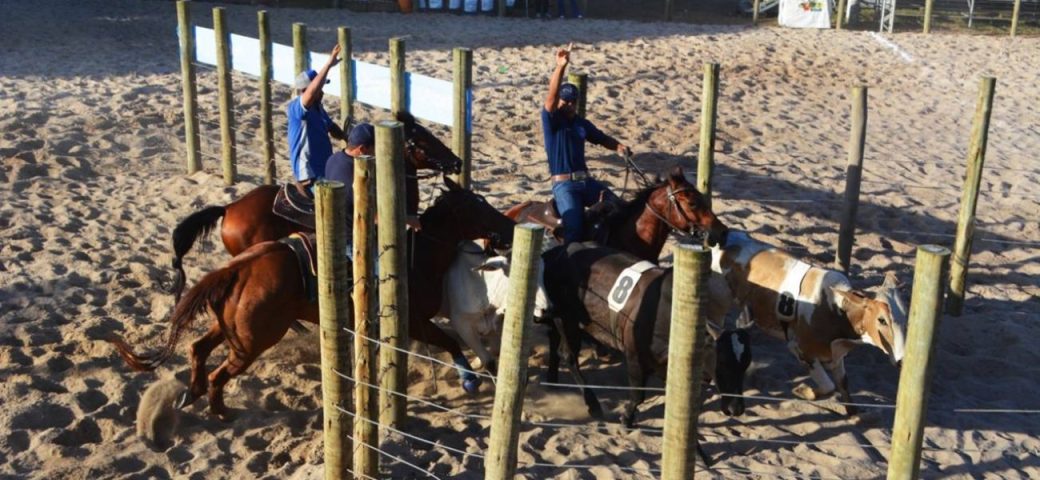 Circuito baiano de Team Penning encerra temporada com sucesso na Expofeira 2026