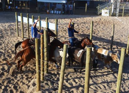 Circuito baiano de Team Penning encerra temporada com sucesso na Expofeira 2026
