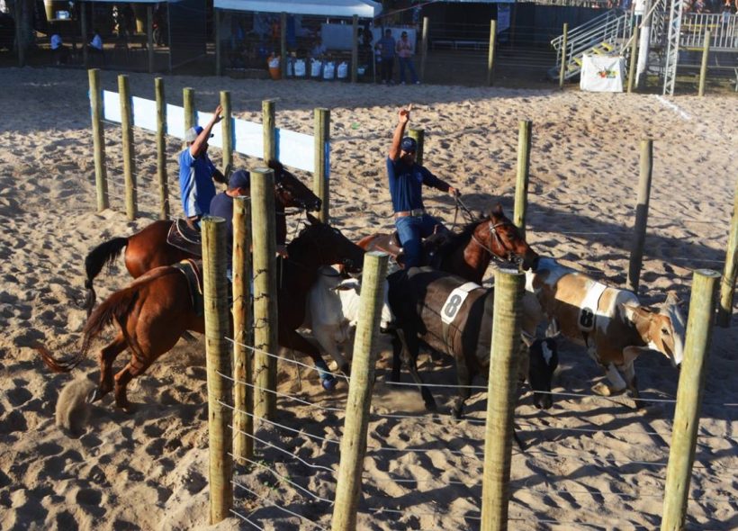 Circuito baiano de Team Penning encerra temporada com sucesso na Expofeira 2026