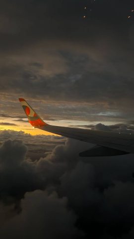 Anac começa a aplicar novas punições para passageiros indisciplinados a partir desta segunda, 14