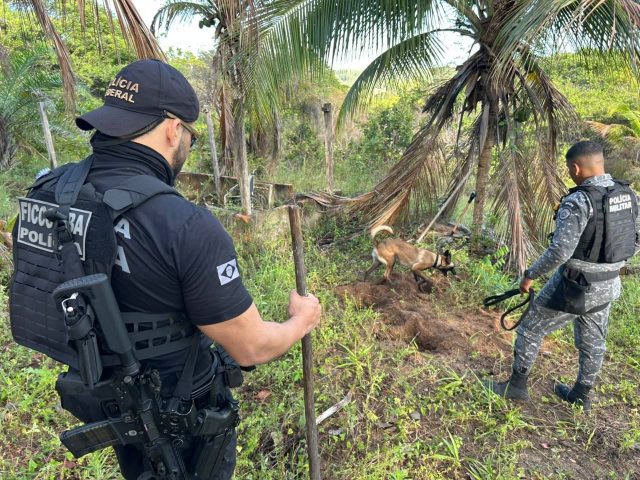 Polícia baiana alcança integrante de facção suspeito de vender armas e desmonta laboratório de cocaína