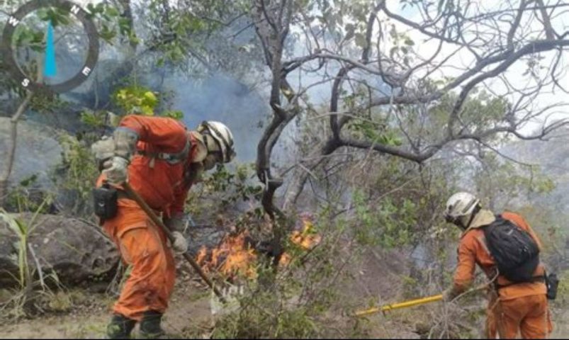 Planejamento prevê ações e mobiliza estrutura de órgãos estaduais contra efeitos do El Niño