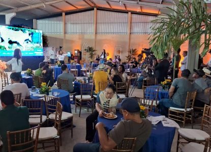 Expofeira 2026: leilão da raça nelore reunirá mais de 200 animais de alto padrão