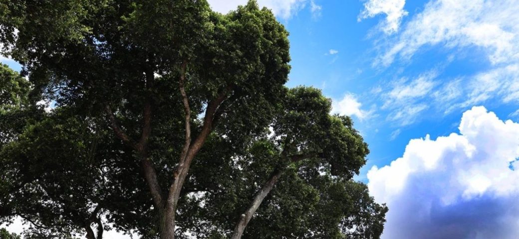 Inema prevê calor acima de 41 °C na Bahia; veja previsão para feriado em Feira de Santana