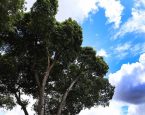 Inema prevê calor acima de 41 °C na Bahia; veja previsão para feriado em Feira de Santana