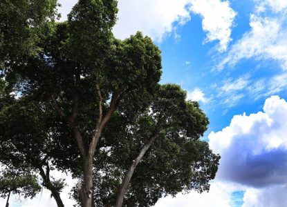 Inema prevê calor acima de 41 °C na Bahia; veja previsão para feriado em Feira de Santana
