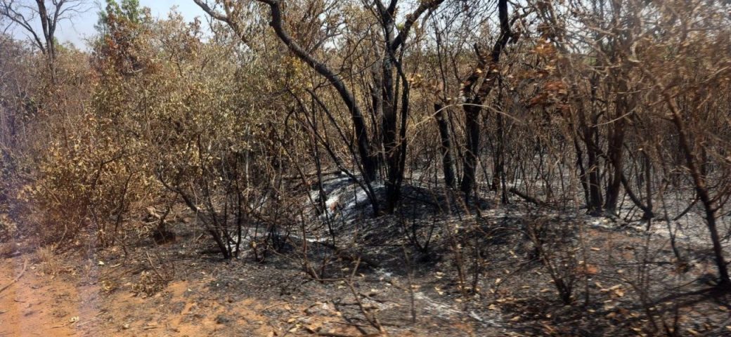 Bahia enviará alertas pelo WhatsApp sobre riscos do El Niño nos 417 municípios