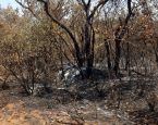 Bahia enviará alertas pelo WhatsApp sobre riscos do El Niño nos 417 municípios