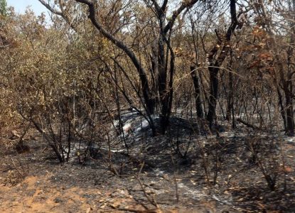 Bahia enviará alertas pelo WhatsApp sobre riscos do El Niño nos 417 municípios
