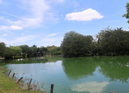 Temperatura pode chegar a 34°C em Feira de Santana neste feriadão