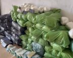 Em quase dez meses, Polícia baiana chega à marca de 16 toneladas de drogas apreendidas em 2026