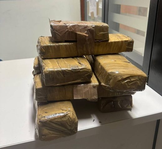 Polícia Militar apreende tabletes de maconha que foram abandonados em terreno em Feira de Santana