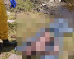 Corpo de homem é encontrado em lagoa de Feira de Santana